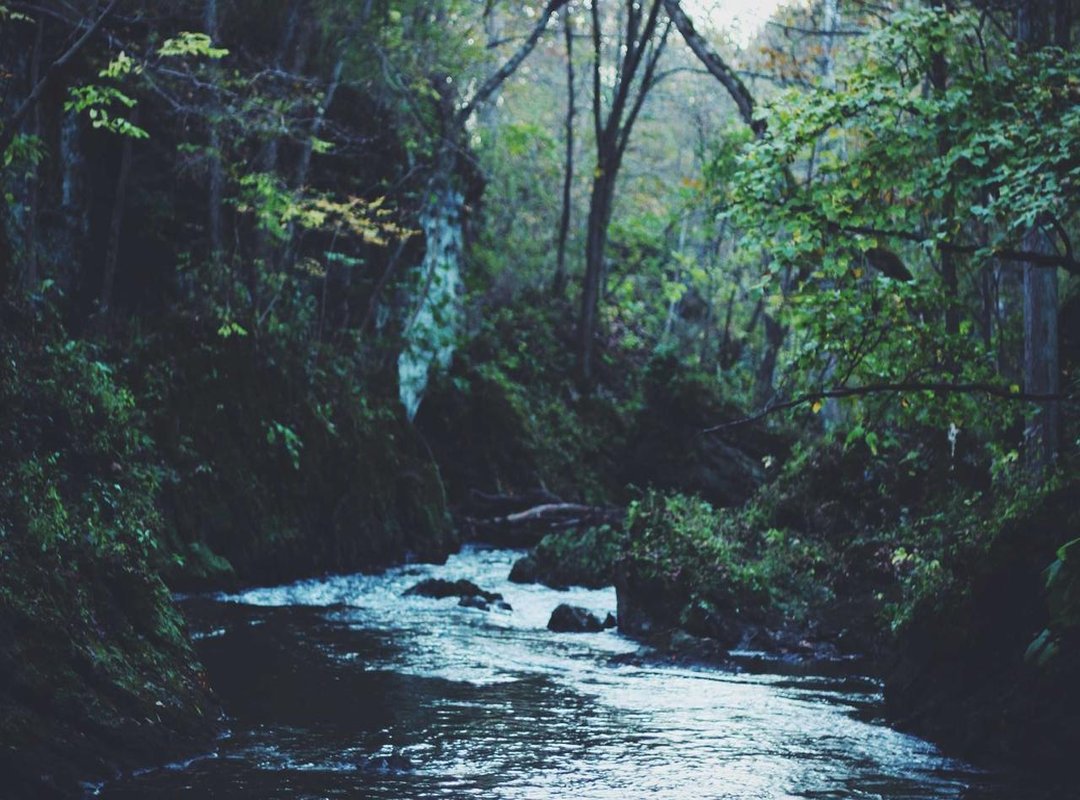 Analyzing the Speculation: What Leaked Specs Mean for Performance