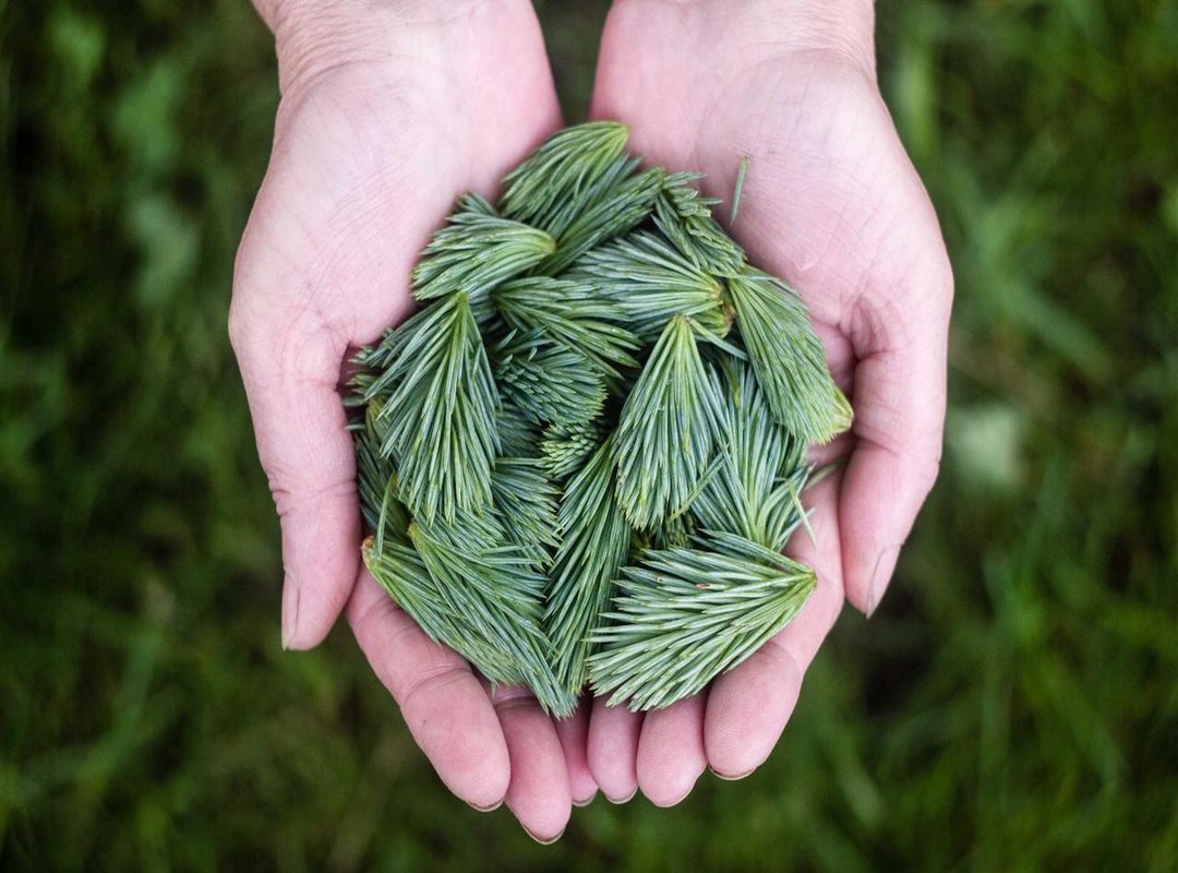 The Nuyu Mieya Tele Technique: Driving Style and Vehicle Specs