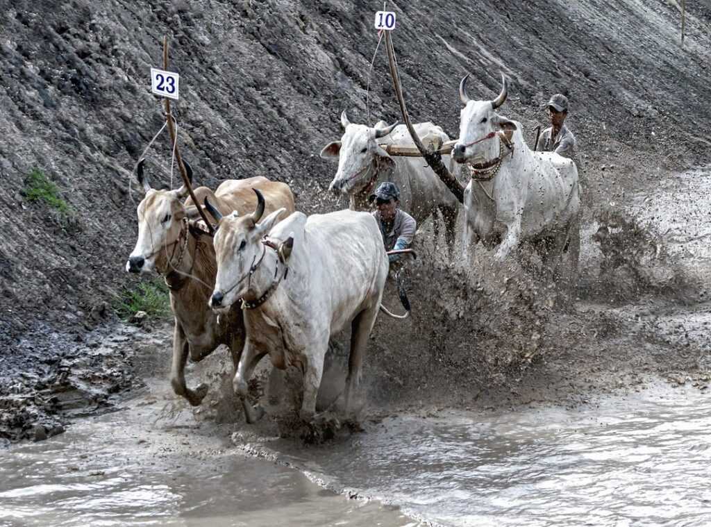 thrilling races 2023