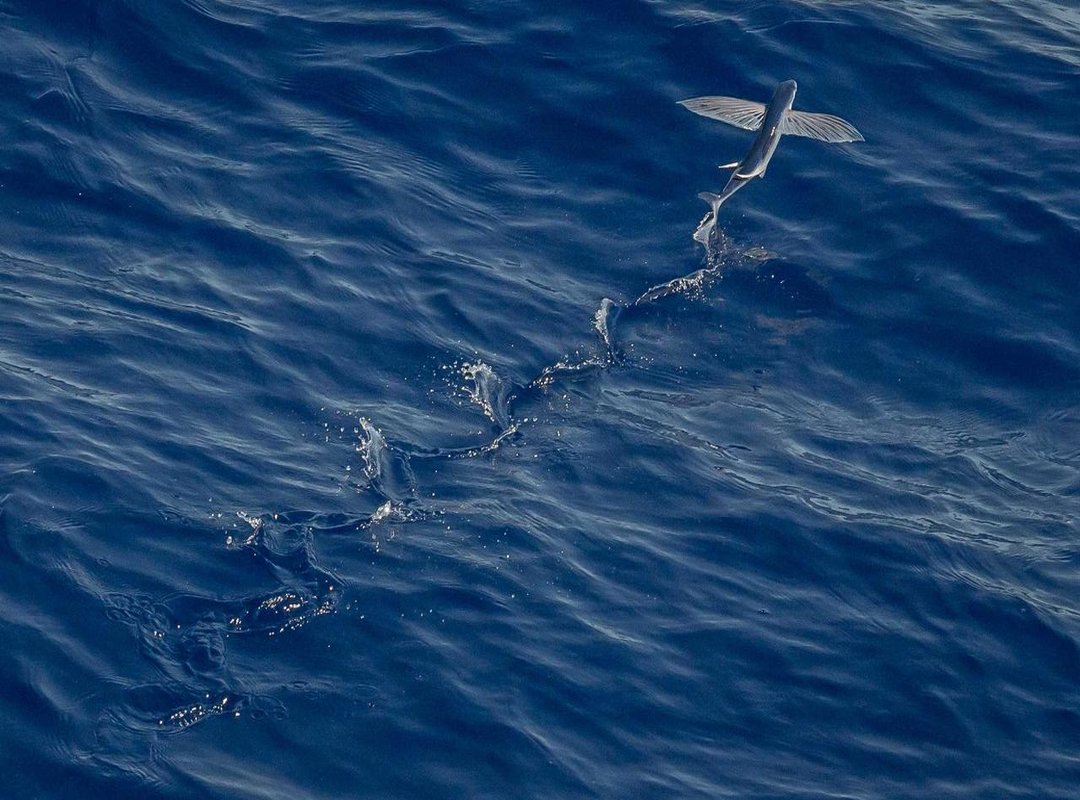 HD Download Links & Setup Guide for All Your Devices