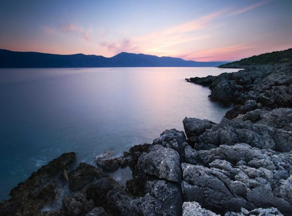 wallpaper:y1c5pjg5svg= duck