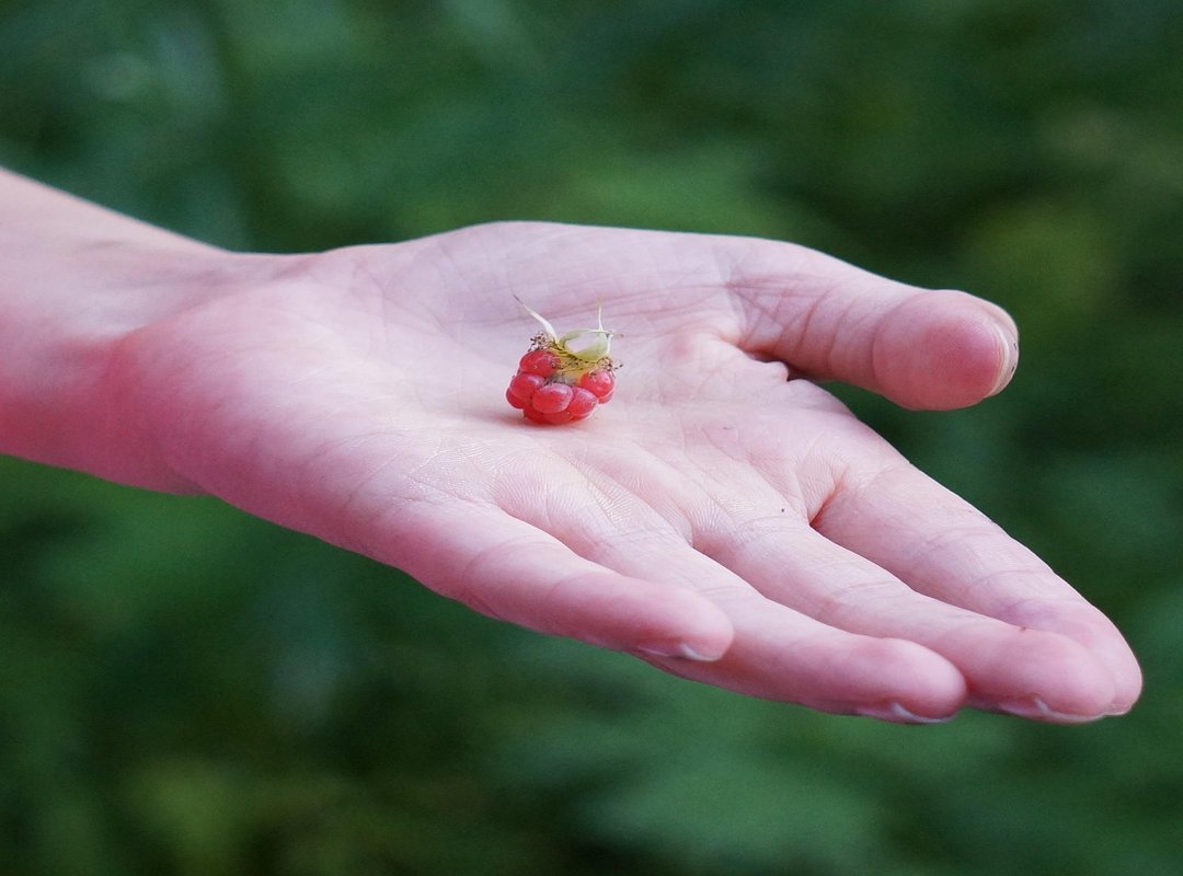 Why Motorbike Gear in Important Fmbmotogear